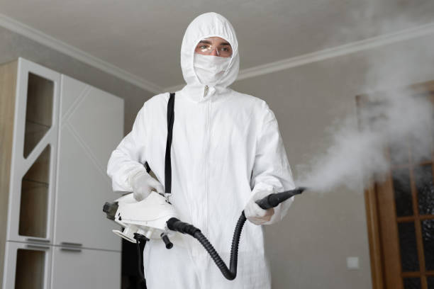 Why You Should Choose Our Mold Remediation Services in Grinnell, IA